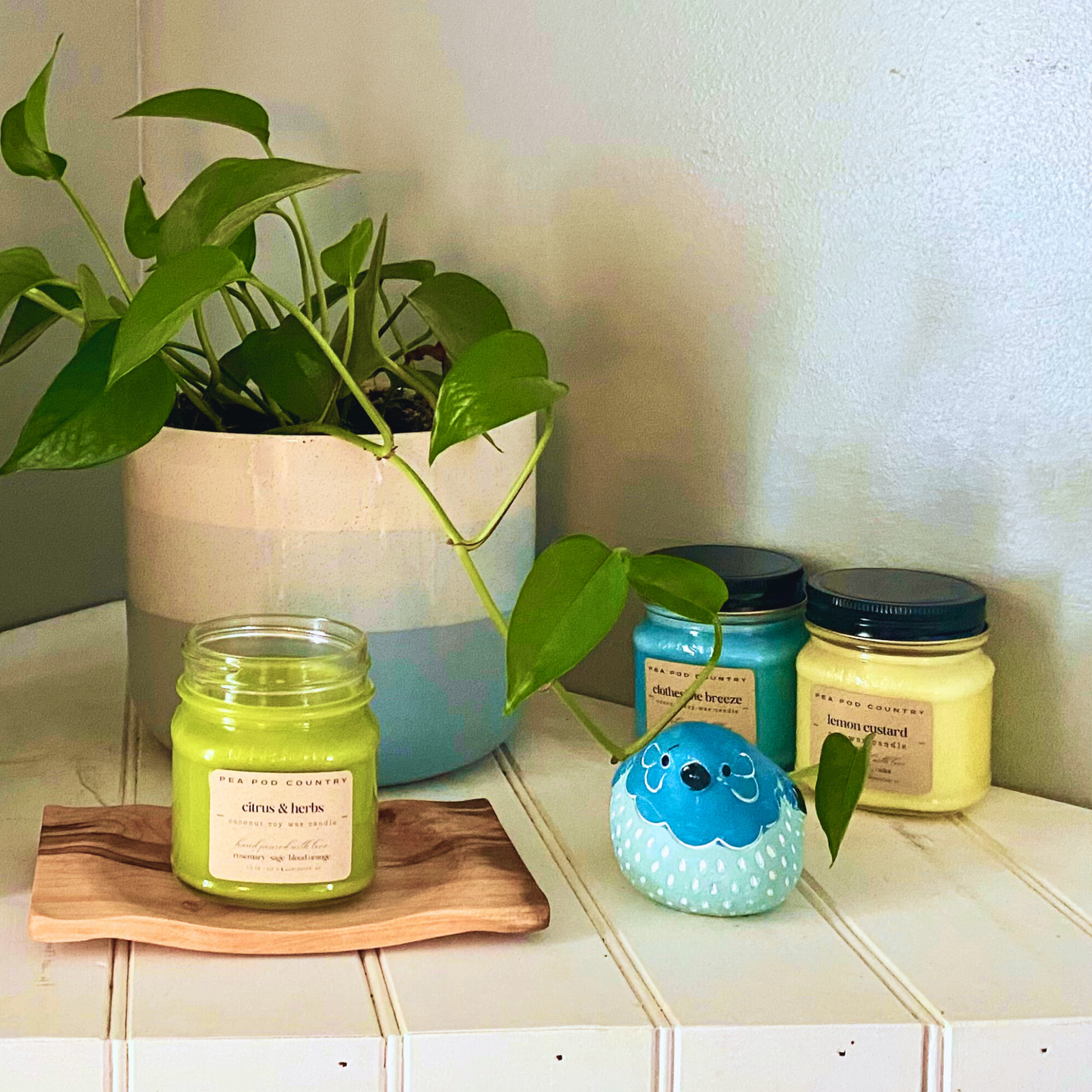 Citrus & Herbs Candle